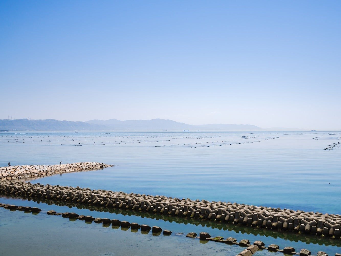 海の恵みの新商品、東経135度兵庫ドライジンシリーズ第2弾食べる海苔が生まれ変わる！特別なスピリッツ「海苔スピ（Umami Wave）」誕生！