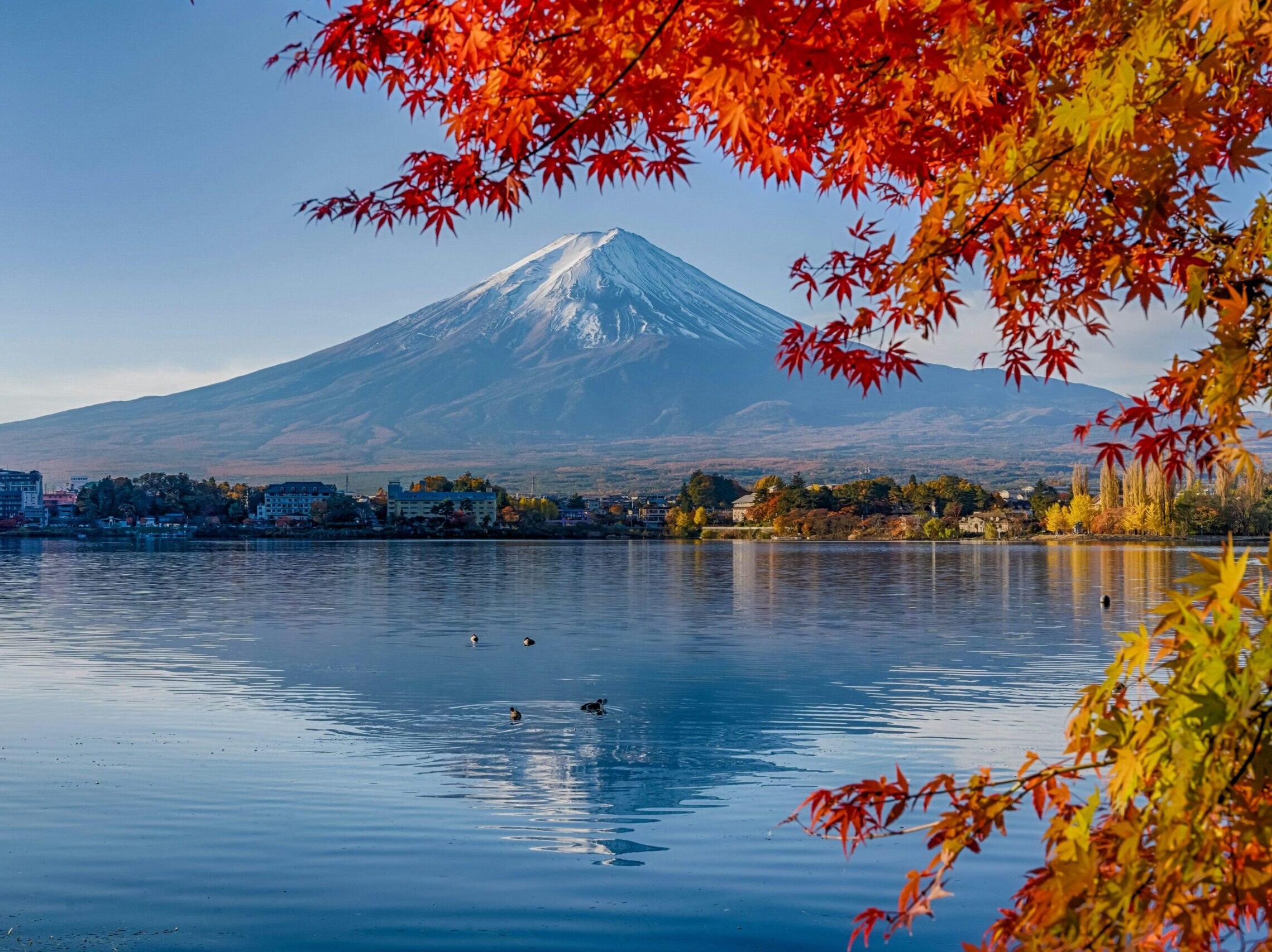 【山梨・おすすめの日本酒｜七賢、春鶯囀、王戎etc.】本当に美味しい銘柄5選を国際唎酒師が厳選！