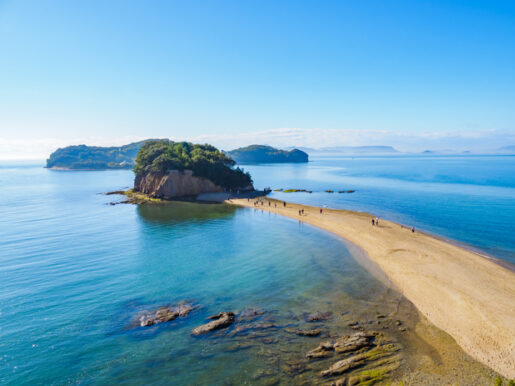 【香川・おすすめの日本酒｜川鶴、綾菊、金陵etc.】本当に美味しい銘柄7選を国際唎酒師が厳選！